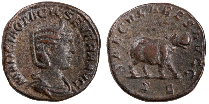 Voici un beau spécimen d'hippopotame au revers d'une monnaie d'Otacilia Severa, femme de l’empereur Philippe l’Arabe. [© cngcoins]