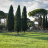 Pelouse à proximité de la Via Appia