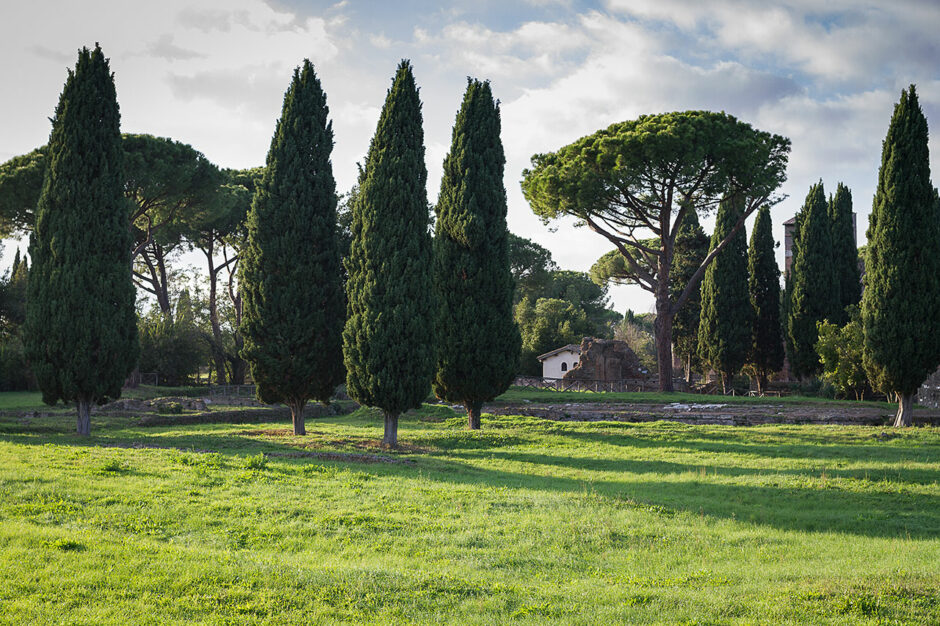 Pelouse à proximité de la Via Appia