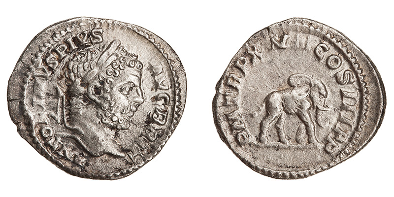 Éléphant au revers d'un denier de Caracalla. L'empereur avait donné des jeux pour célébrer une victoire militaire. [© American Numismatic Society]