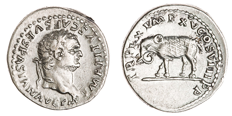 Denier de Titus montrant au revers un éléphant cuirassé, comme on en voyait vraisemblablement combattre des bêtes sauvages dans l'arène. [© American Numismatic Society]